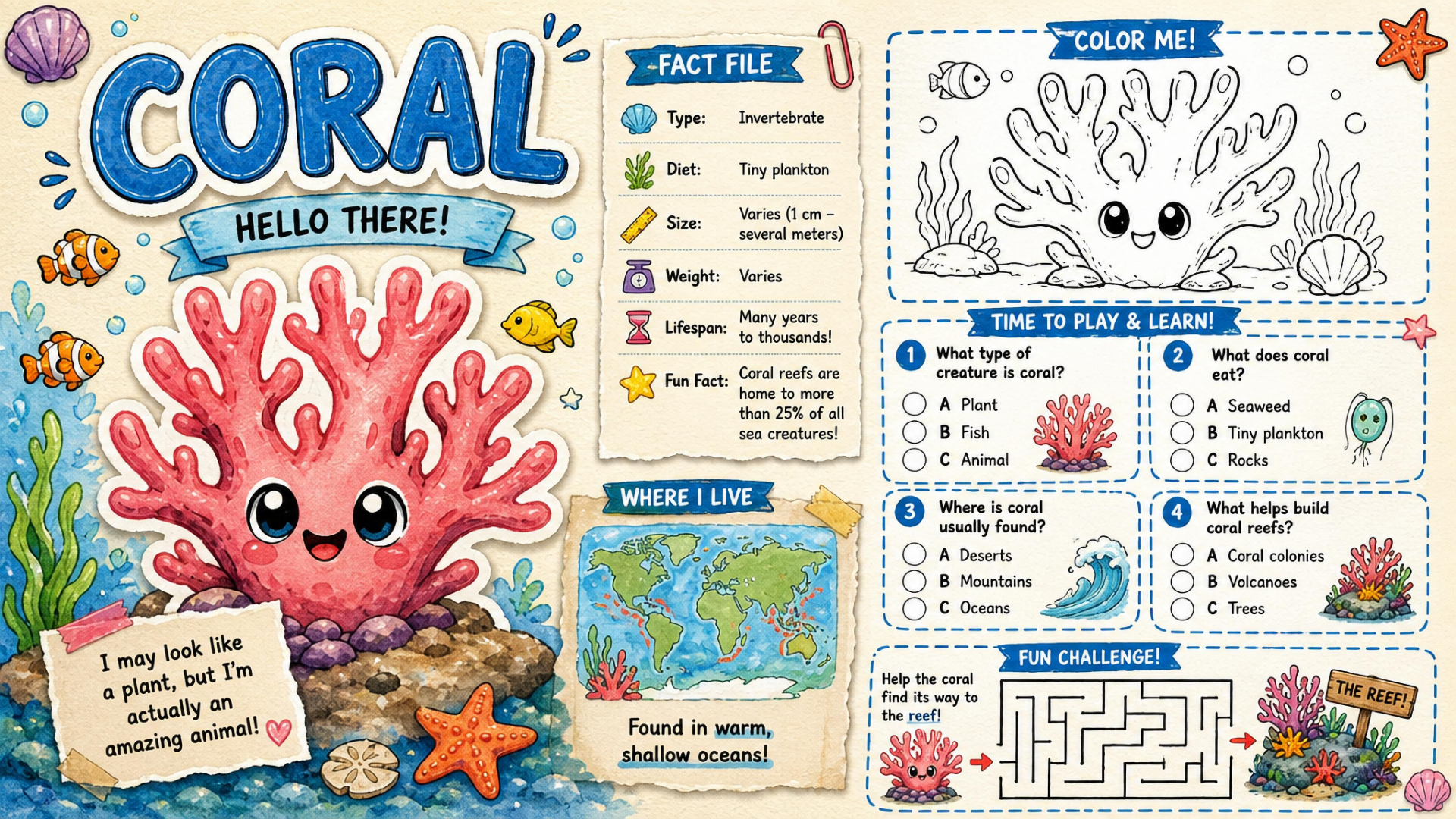 Sea Animals Educational Worksheets Activity Book